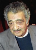 Emile Habibi